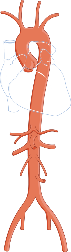 Biomarkers Offered By ArtFun+